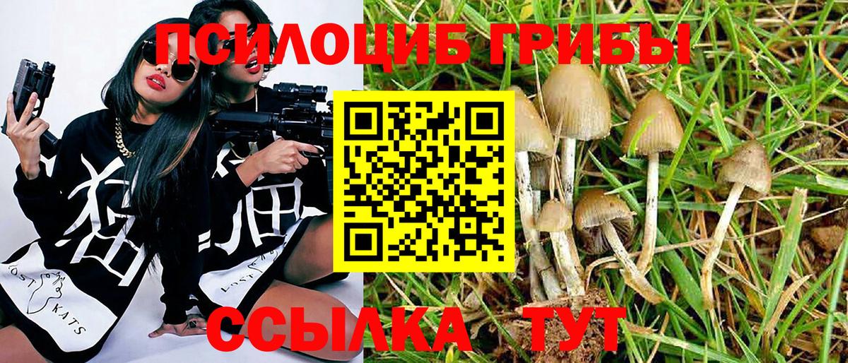 Галлюциногенные грибы мухоморы  Галлюциногенные грибы GOLDEN TEACHER  Вход с VPN  Ачхой-Мартан 